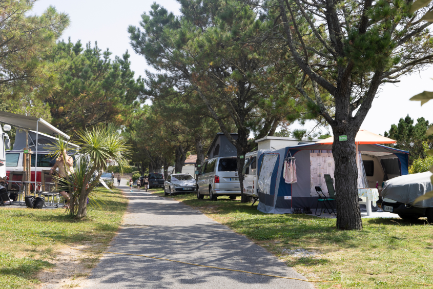 Parcelles emplacement camping