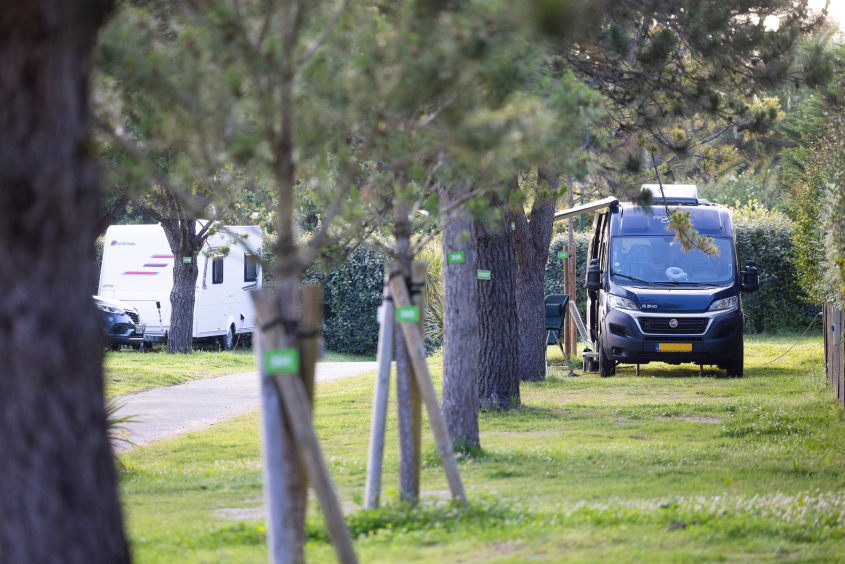 Parcelles emplacement camping